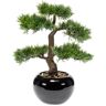 Emerald Kunstpflanze Bonsai Zeder Grün 34 cm 420003