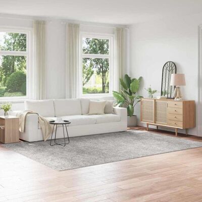 vidaXL - Shaggy Carpet with Latex Backing - Grau - Rug vidaXL - Shaggy Carpet with Latex Backing - Grau - Rug