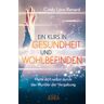 Ein Kurs In Gesundheit Und Wohlbefinden - Cindy Lora-Renard, Gebunden