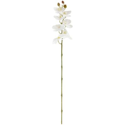 Mabou Vega - 95 cm - Weiß/Grün - Orchideenstrauß Mabou Vega - 95 cm - Weiß/Grün - Orchideenstrauß