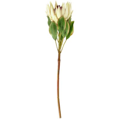 Vega Maaret weiß/grün 70x11 cm künstliche Blume Vega Maaret weiß/grün 70x11 cm künstliche Blume