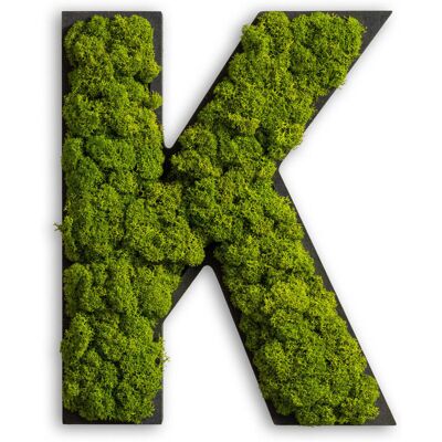 styleGREEN Piktogramm Buchstabe Islandmoos; 26x20 cm (LxB); grün; Prägung K styleGREEN Piktogramm Buchstabe Islandmoos; 26x20 cm (LxB); grün; Prägung K