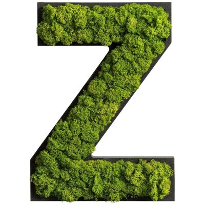 styleGREEN Piktogramm Buchstabe Islandmoos; 26x17 cm (LxB); grün; Prägung Z styleGREEN Piktogramm Buchstabe Islandmoos; 26x17 cm (LxB); grün; Prägung Z