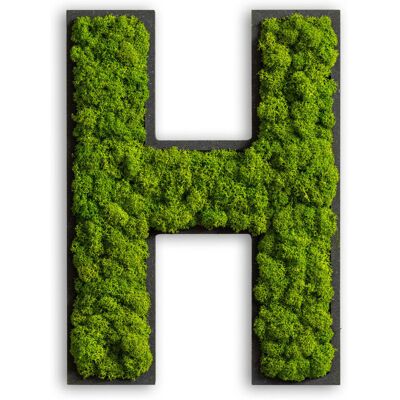 styleGREEN Piktogramm Buchstabe Islandmoos; 25x19 cm (LxB); grün; Prägung H styleGREEN Piktogramm Buchstabe Islandmoos; 25x19 cm (LxB); grün; Prägung H