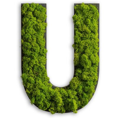 styleGREEN Piktogramm Buchstabe Islandmoos; 26x19 cm (LxB); grün; Prägung U styleGREEN Piktogramm Buchstabe Islandmoos; 26x19 cm (LxB); grün; Prägung U