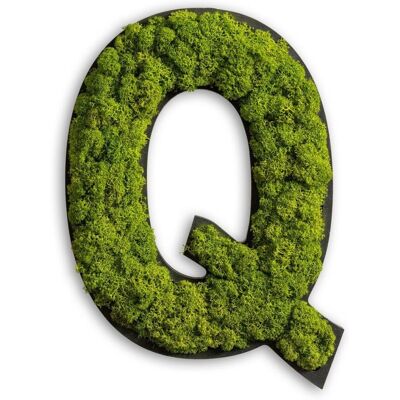 Moos Wandbild - Buchstabe Q - Nur online Moos Wandbild - Buchstabe Q - Nur online