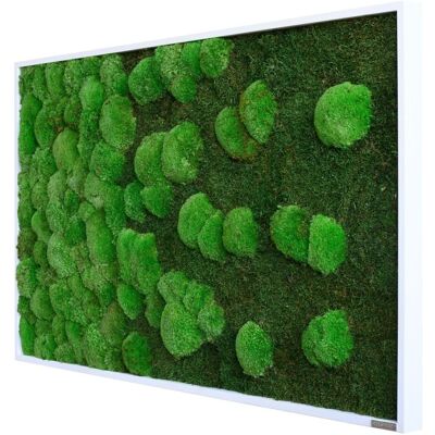 styleGREEN Wald- und Kugelmoosbild Verlauf 100x60cm; 100x60 cm (LxB); grün styleGREEN Wald- und Kugelmoosbild Verlauf 100x60cm; 100x60 cm (LxB); grün