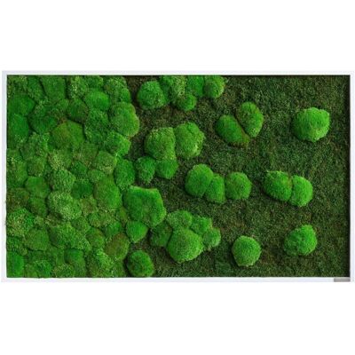 styleGREEN Wald- und Kugelmoosbild Verlauf 100x60cm Vollholz (schwarz); 100x60 cm (LxB); grün styleGREEN Wald- und Kugelmoosbild Verlauf 100x60cm Vollholz (schwarz); 100x60 cm (LxB); grün
