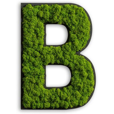 Großes Moosbild - Wandkunst - Buchstabe B - Online exklusiv Großes Moosbild - Wandkunst - Buchstabe B - Online exklusiv