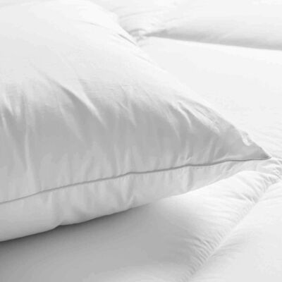 bertsch Hotelwäsche Hybrid 3-Kammer-Kopfkissen 40/80cm (FG 690g); 40x80 cm (BxL); weiß bertsch Hotelwäsche Hybrid 3-Kammer-Kopfkissen 40/80cm (FG 690g); 40x80 cm (BxL); weiß