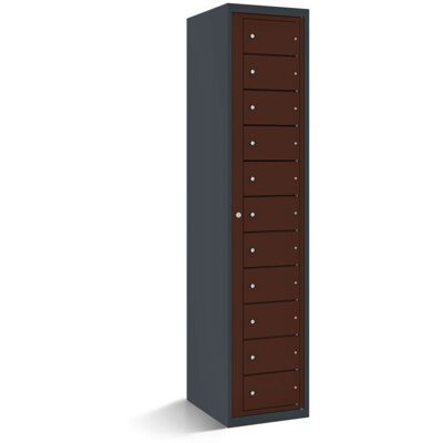 rotstahl Fächerschrank mit Zentraltür 11 Fächer mit anthrazitgrauem Korpus; 40x50x180 cm (BxTxH); mahagoni rotstahl Fächerschrank mit Zentraltür 11 Fächer mit anthrazitgrauem Korpus; 40x50x180 cm (BxTxH); mahagoni