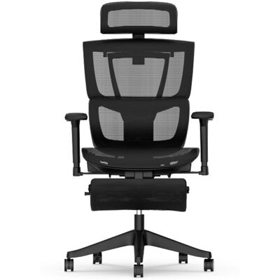FlexiSpot Ergonomischer Bürostuhl Mesh-Sitz, ausziehbare Fußstütze; 71x47x65 cm (BxHxT); schwarz FlexiSpot Ergonomischer Bürostuhl Mesh-Sitz, ausziehbare Fußstütze; 71x47x65 cm (BxHxT); schwarz