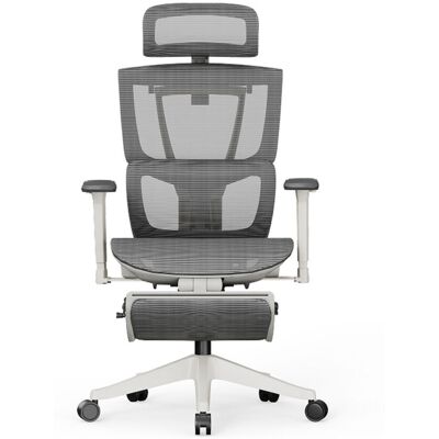 FlexiSpot Ergonomischer Bürostuhl Mesh-Sitz, ausziehbare Fußstütze; 71x47x65 cm (BxHxT); hellgrau FlexiSpot Ergonomischer Bürostuhl Mesh-Sitz, ausziehbare Fußstütze; 71x47x65 cm (BxHxT); hellgrau