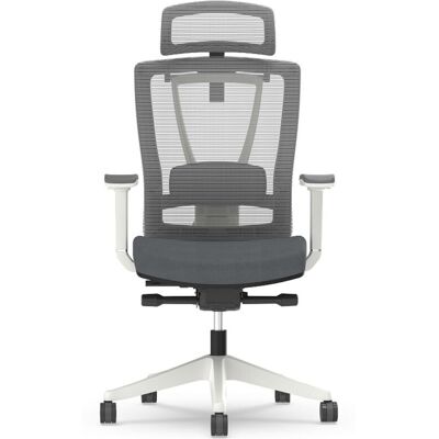 FlexiSpot Ergonomischer Bürostuhl Netzrücken; 71x45x65 cm (BxHxT); grau FlexiSpot Ergonomischer Bürostuhl Netzrücken; 71x45x65 cm (BxHxT); grau