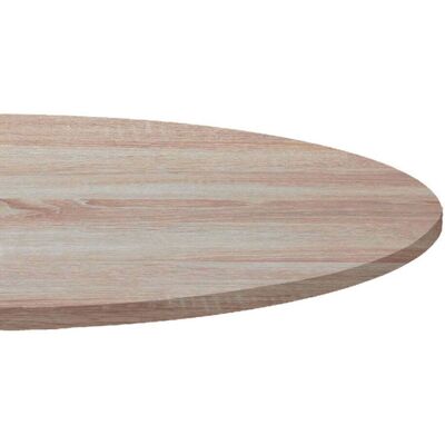 RestooTab Tischplatte rund, Holzdekor; 120x120 cm (LxB); birke; rund RestooTab Tischplatte rund, Holzdekor; 120x120 cm (LxB); birke; rund