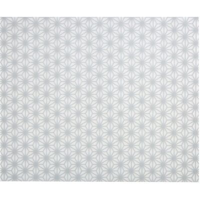 APS Antirutschmatte VALO, Silikon, passend für GN 1/2; 30x24.1x0.1 cm (LxBxH); transparent APS Antirutschmatte VALO, Silikon, passend für GN 1/2; 30x24.1x0.1 cm (LxBxH); transparent