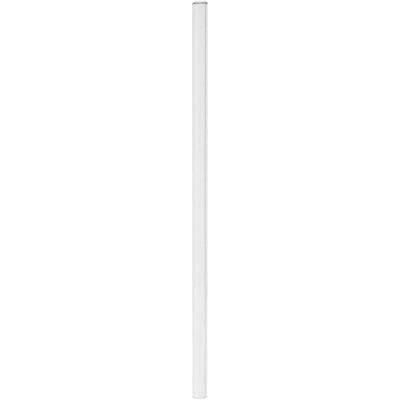 PULSIVA Glastrinkhalme Ussa; 0.8x20 cm (ØxL); transparent; 50 Stück / Pack PULSIVA Glastrinkhalme Ussa; 0.8x20 cm (ØxL); transparent; 50 Stück / Pack