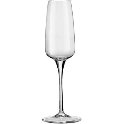 Bormioli Rocco Sektglas Aurum; 230 ml, 5.9x23.5 cm (ØxH); transparent; 6 Stück / Pack Bormioli Rocco Sektglas Aurum; 230 ml, 5.9x23.5 cm (ØxH); transparent; 6 Stück / Pack