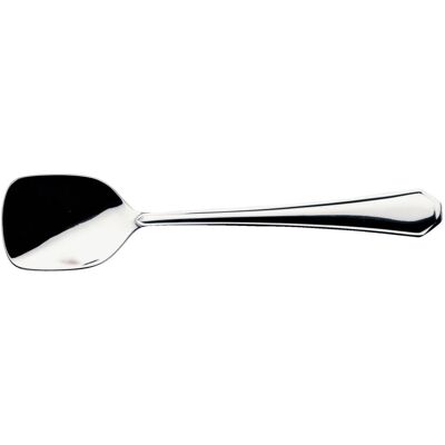 Vega Edelstahl Eisspoon - Tunisi Serie - 12 Stück Vega Edelstahl Eisspoon - Tunisi Serie - 12 Stück