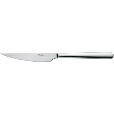 Pintinox Steakmesser SKY Satin; 23 cm (L); silber; 12 Stück / Pack Pintinox Steakmesser SKY Satin; 23 cm (L); silber; 12 Stück / Pack