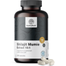 HealthyWorld Shilajit Mumie Extract 10:1, 120 Kapseln