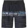 Quiksilver Everyday Badehose Herren black M