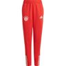 Adidas FC Bayern München Trainingshose Kinder red-bright red-white 164