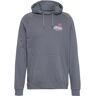 Nike Dri-Fit Graphic Hoodie Herren iron grey-iron grey-photon dust XL