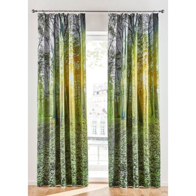 bonprix Abdunkelnder Vorhang mit Wald Motiv (1er Pack) grün 4 (H/B: 245/135 cm) bonprix Abdunkelnder Vorhang mit Wald Motiv (1er Pack) grün 4 (H/B: 245/135 cm)