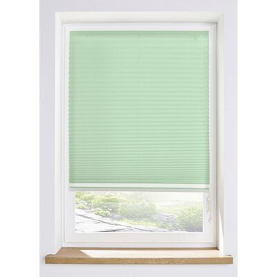 bonprix abdunkelndes Klebe-Plissee grün 10 (H/B: 210/70 cm) bonprix abdunkelndes Klebe-Plissee grün 10 (H/B: 210/70 cm)