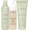 Aveda Pump Up Volume Pack (3 Produkte)