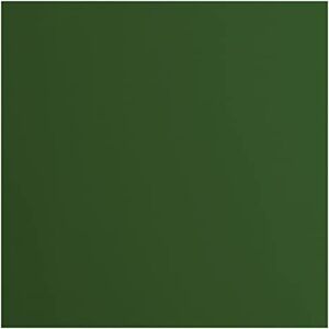 Creative Florence Cardstock Papier, Grün, 216 Gramm/m², Quadratisch, 30,5 x 30,5 cm, 20 Stück, Glatt, für Scrapbooking, Kartenherstellung, Stanzen und andere Papierbasteleien Creative Florence Cardstock Papier, Grün, 216 Gramm/m², Quadratisch, 30,5 x 30,5 cm, 20 Stück, Glatt, für Scrapbooking, Kartenherstellung, Stanzen und andere Papierbasteleien