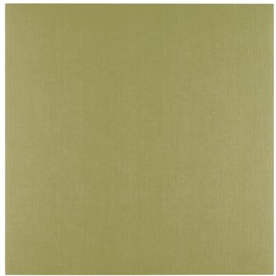 Creative Florence Tonkarton 30,5 x 30,5 cm 10 St. mit Leinen Struktur Acacia (Grün) 250 g Scrapbooking Bedarf und Bastelpapier für Kartenbasteln, Scrapbooking und Journaling Reißfest Buntpapier Creative Florence Tonkarton 30,5 x 30,5 cm 10 St. mit Leinen Struktur Acacia (Grün) 250 g Scrapbooking Bedarf und Bastelpapier für Kartenbasteln, Scrapbooking und Journaling Reißfest Buntpapier
