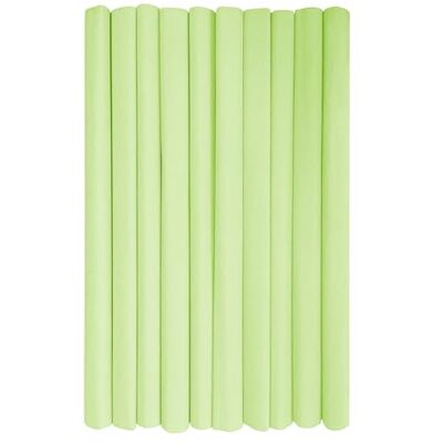 Interdruk Krepppapierrollen für Kinder, DIY und Dekorationen, 10 Rollen (50 cm x 200 cm, 28 g/m²), 40 Pastell-Limettengrün, Grün Interdruk Krepppapierrollen für Kinder, DIY und Dekorationen, 10 Rollen (50 cm x 200 cm, 28 g/m²), 40 Pastell-Limettengrün, Grün