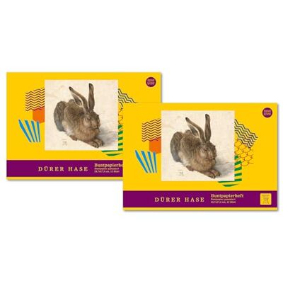 Edition Dürer Buntpapierheft 172 x 247 mm 12 Blatt 82 g/m² gummiert 12 Farben sortiert, 2 Stück Edition Dürer Buntpapierheft 172 x 247 mm 12 Blatt 82 g/m² gummiert 12 Farben sortiert, 2 Stück