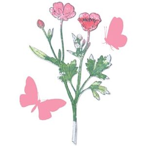 Sizzix Painted Pencil Botanical - Stanze & Stempel Set Sizzix Painted Pencil Botanical - Stanze & Stempel Set