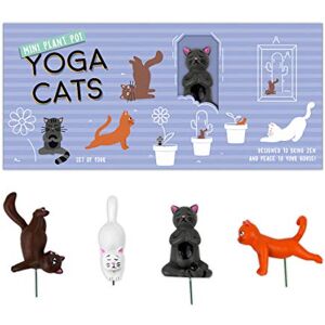 GR Gift Republic Gift Republic Mini Blumentopf Yoga Katzen, Mehrfarbig, 1 GR Gift Republic Gift Republic Mini Blumentopf Yoga Katzen, Mehrfarbig, 1