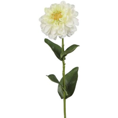 BELLAFIORA 01AMAZ019404 Künstliche Blumen, Zinnie, 60 cm, Cremefarben BELLAFIORA 01AMAZ019404 Künstliche Blumen, Zinnie, 60 cm, Cremefarben