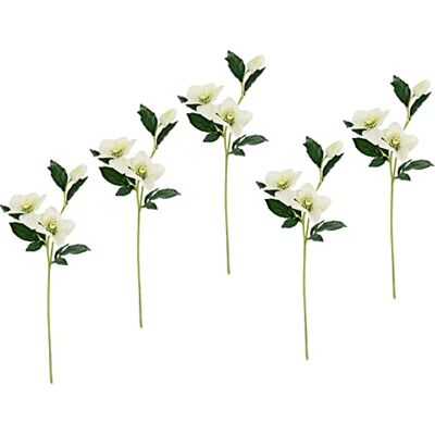 Flair Flower Helleborus Christrosenzweig 5er Set Kunstblume Seidenblumen Floristik Einzelblume Stielblume Einzelzweig Stiel Kunst-Stielblume Dekoblume Blumen Blumendeko,021114CR,Creme,57x12x5 cm Flair Flower Helleborus Christrosenzweig 5er Set Kunstblume Seidenblumen Floristik Einzelblume Stielblume Einzelzweig Stiel Kunst-Stielblume Dekoblume Blumen Blumendeko,021114CR,Creme,57x12x5 cm