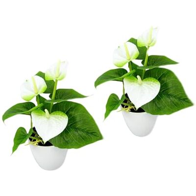 Flair Flower Künstliche Pflanze Mini Anthurium-Pflanze im Topf Anthurie exotische Flamingo Blume Flamingoblume Flamingopflanze Pflanze rote Blüten Kunstpflanze Dekopflanzen Kunstblumen Deko Blumen 2er Set Flair Flower Künstliche Pflanze Mini Anthurium-Pflanze im Topf Anthurie exotische Flamingo Blume Flamingoblume Flamingopflanze Pflanze rote Blüten Kunstpflanze Dekopflanzen Kunstblumen Deko Blumen 2er Set