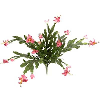 Flair Flower Künstlicher Kaktus mit Blüten Blühender Weihnachtskaktus Kaktusse Kakteen Zimmerpflanze mit roter Blüte Seidenblumen Grünpflanze Stachelige Flache Kunstpflanzen Pflanze Blume Kunstkaktus Flair Flower Künstlicher Kaktus mit Blüten Blühender Weihnachtskaktus Kaktusse Kakteen Zimmerpflanze mit roter Blüte Seidenblumen Grünpflanze Stachelige Flache Kunstpflanzen Pflanze Blume Kunstkaktus