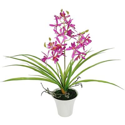 Flair Flower Kunstblume Orchidee 40cm mit Blätter und Luftwurzeln im Topf Künstliche Blume Kunstorchidee Phalaenopsis mit Übertopf Kunstpflanze Hochzeit Deko Dekoblume Seidenblume Real Touch Blüte Flair Flower Kunstblume Orchidee 40cm mit Blätter und Luftwurzeln im Topf Künstliche Blume Kunstorchidee Phalaenopsis mit Übertopf Kunstpflanze Hochzeit Deko Dekoblume Seidenblume Real Touch Blüte