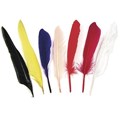 Rayher 8528549 Indianerfedern, 17,5 cm, Beutel 75 Stück, Farben gemischt, natürliche Federn, Schmuckfedern, Bastelfedern, Gänsefedern Rayher 8528549 Indianerfedern, 17,5 cm, Beutel 75 Stück, Farben gemischt, natürliche Federn, Schmuckfedern, Bastelfedern, Gänsefedern