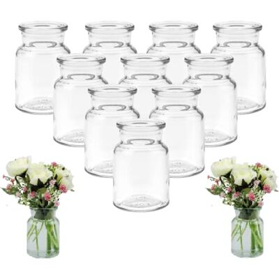 mikken 12 x Kleine Glasvase 9cm Glasflaschen inkl. Flaschenbürste mikken 12 x Kleine Glasvase 9cm Glasflaschen inkl. Flaschenbürste