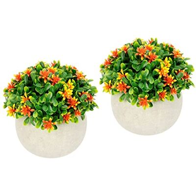 Flair Flower Blütenbusch im Topf Künstlich Wachsblume Busch Tischdeko Mittelstück Hochzeitsdeko Kunstblumen Plastikblumen Floristik 020999OR Orange 11x12x12 cm Flair Flower Blütenbusch im Topf Künstlich Wachsblume Busch Tischdeko Mittelstück Hochzeitsdeko Kunstblumen Plastikblumen Floristik 020999OR Orange 11x12x12 cm