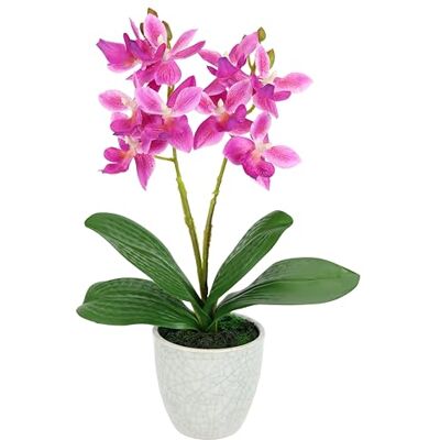 Flair Flower Kunstblume Orchidee 30cm mit Blätter im Topf Künstliche Blume Kunstorchidee Phalaenopsis mit Übertopf Kunstpflanze Hochzeit Deko Dekoblume Seidenblume Real Touch Blüte Flair Flower Kunstblume Orchidee 30cm mit Blätter im Topf Künstliche Blume Kunstorchidee Phalaenopsis mit Übertopf Kunstpflanze Hochzeit Deko Dekoblume Seidenblume Real Touch Blüte