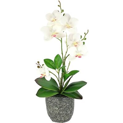 Flair Flower Kunstblume Schmetterling Orchidee mit Blätter und Luftwurzeln im Topf aus Keramik Künstliche Blume Kunstorchidee Phalaenopsis mit Übertopf Kunstpflanze Hochzeit Deko Seidenblume Real Touch Blüte Flair Flower Kunstblume Schmetterling Orchidee mit Blätter und Luftwurzeln im Topf aus Keramik Künstliche Blume Kunstorchidee Phalaenopsis mit Übertopf Kunstpflanze Hochzeit Deko Seidenblume Real Touch Blüte
