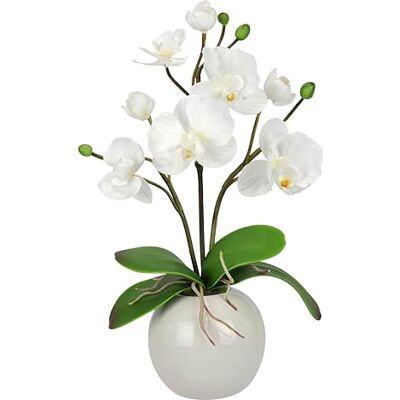 Flair Flower Künstliche Orchidee in Schale 35cm Kunstblume Blume Kunstorchidee Phalaenopsis mit Übertopf Kunstpflanze Hochzeit Deko Schmetterling Phalaenopsis Dekoblume Seidenblume Blumenarrangements weiß Flair Flower Künstliche Orchidee in Schale 35cm Kunstblume Blume Kunstorchidee Phalaenopsis mit Übertopf Kunstpflanze Hochzeit Deko Schmetterling Phalaenopsis Dekoblume Seidenblume Blumenarrangements weiß