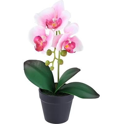 Flair Flower Künstliche Orchidee Phalaenopsis im Topf 30cm Real Touch Blüten realistische exotisch Blume Kunstblume Kunstorchidee Kunstpflanze Zimmerblume Zimmerdeko Hochzeit pflegeleicht Deko Seidenblume Flair Flower Künstliche Orchidee Phalaenopsis im Topf 30cm Real Touch Blüten realistische exotisch Blume Kunstblume Kunstorchidee Kunstpflanze Zimmerblume Zimmerdeko Hochzeit pflegeleicht Deko Seidenblume