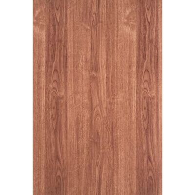 d-c-fix Möbel-Klebefolie Maderna Oak 67,5 cm x 1,5 m (PVC-frei) abwaschbare und selbstklebende Deko-Folie für Küche, Schrank, Tisch & Fensterbank modern & langlebig d-c-fix Möbel-Klebefolie Maderna Oak 67,5 cm x 1,5 m (PVC-frei) abwaschbare und selbstklebende Deko-Folie für Küche, Schrank, Tisch & Fensterbank modern & langlebig
